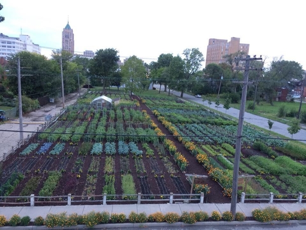 First time posting on Reddit This is the production farm of the Michigan Urban Farming Initiatives ag campus located at  Brush St Detroit MI 
