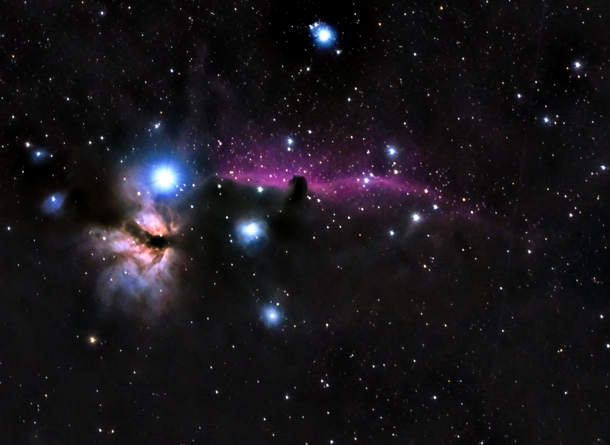 Flame and Horsehead Nebula x