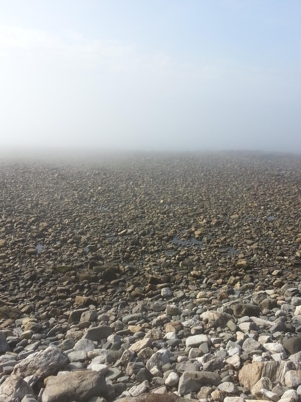 Fog hides the ocean - outside Beverley MA 