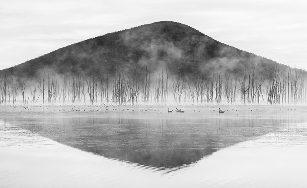 Fog lifts off Lake Moogerah in the early morning 