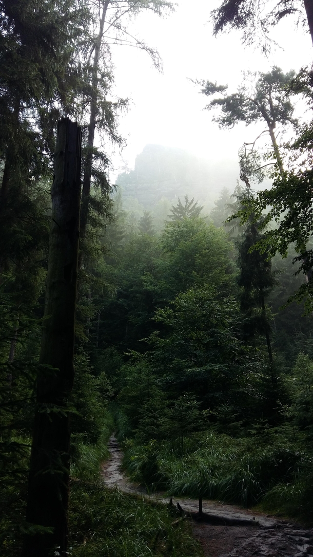 Foggy Morning Heringsgrund by Schmilka Schsische Schweiz  Saxon Switzerland Germany 