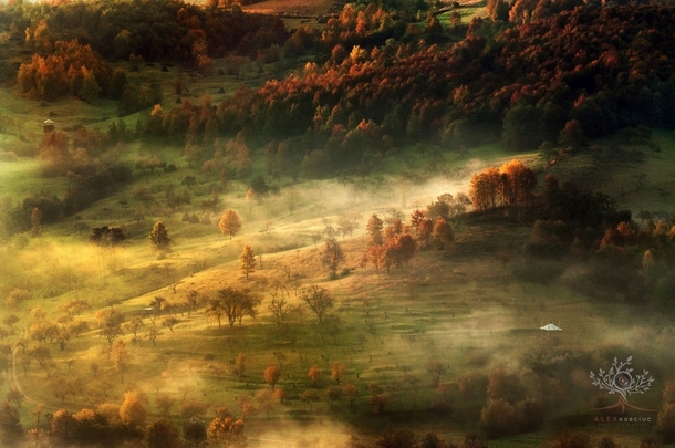 Foggy morning in Maramure Romania by Alex Robciuc 