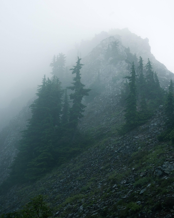 Foggy Mountain Tops in the Cascade Range WA 