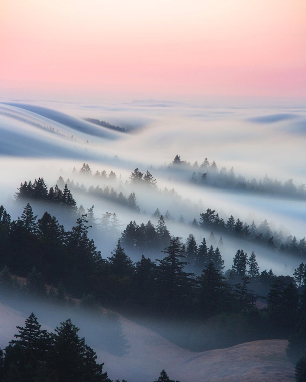 For Years Ive Tried to Capture the Fog Rolling Through Mt Tamalpais This Week I Captured My Bucket List Shot  nickfjord
