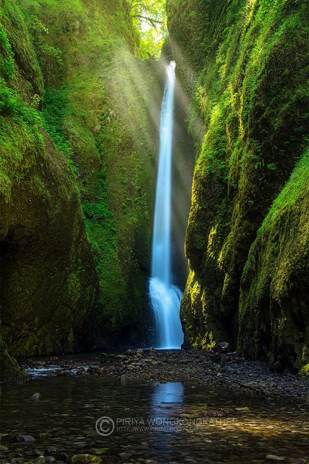 Forest Gem - the Oneonta Falls in the Columbia River Gorge Oregon  photo by Pete Wongkongkathep