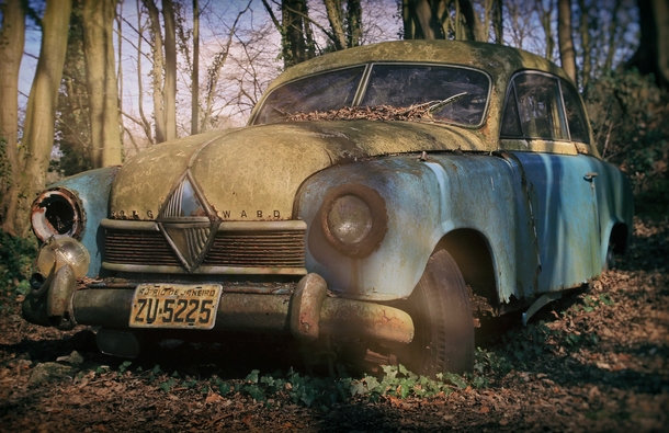Forest Parking A vintage Borgward Hansa parked in a German forest By Martyn Smith 