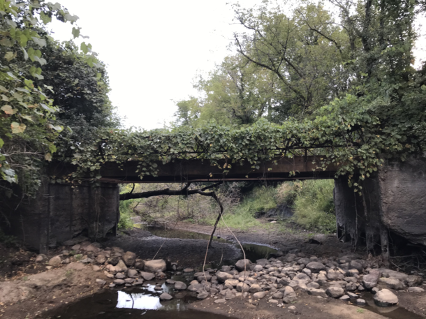 Found an abandoned bridge while out squirrel hunting on public land