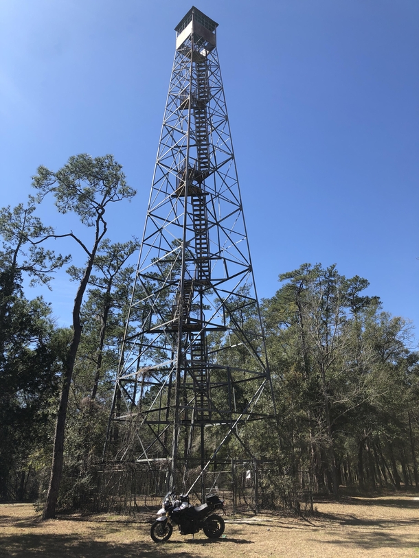 Found an old fire tower in Francis Marion National Forest while riding