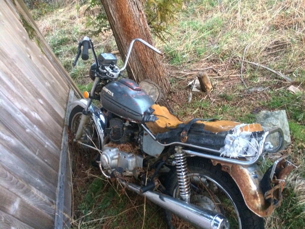 Found my old bike in the abandoned part of my parents property