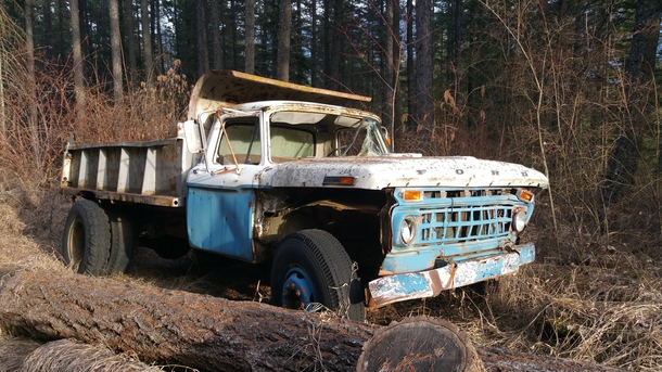Found this abandoned truck on a hike through the mountains in British Columbia 