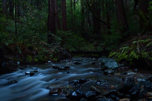 Found this stream in the Redwoods while hiking 