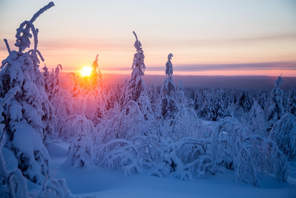 Frosty evening in the winter taiga Perm region Russia OC