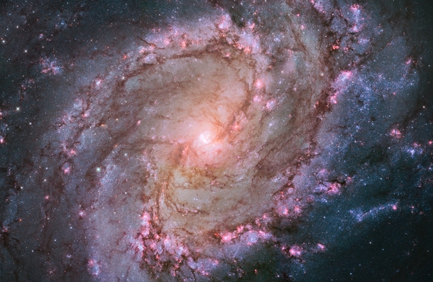 Galaxy M aka The Southern Pinwheel 