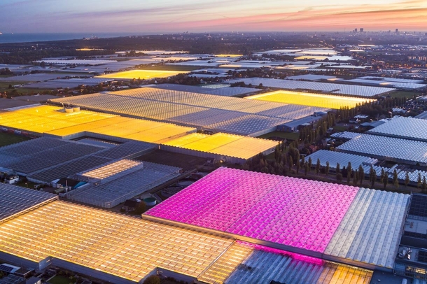 Glowing greenhouses in the Netherlands Photo by George Steinmetz