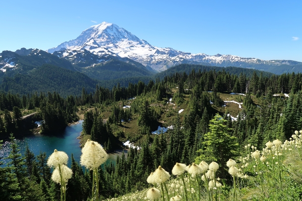Gorgeous view of Mt Rainier seen from Tolmie Peak Lookout in Washington 