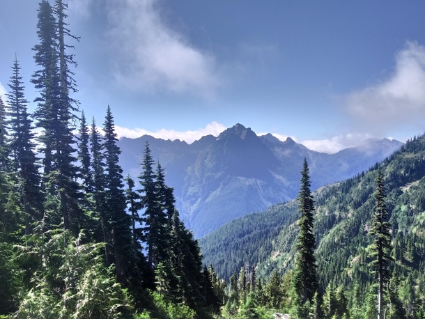 Got a bit lost hiking towards the Lake of Angels and ended up coming accross this incredible veiw Olympic National ForestPark Wa 