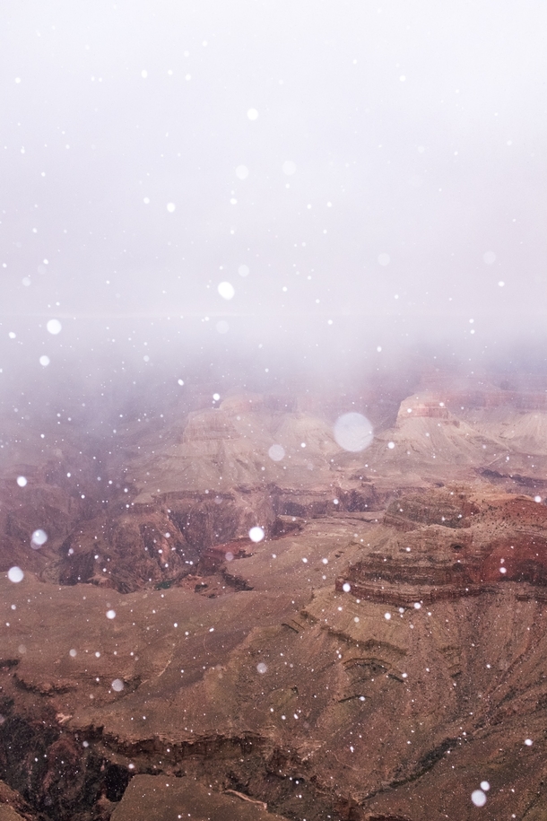 got some snow in the grand canyon 
