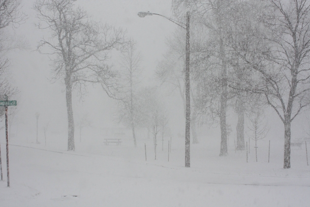 Gotta love Buffalo suburban snowstorms 