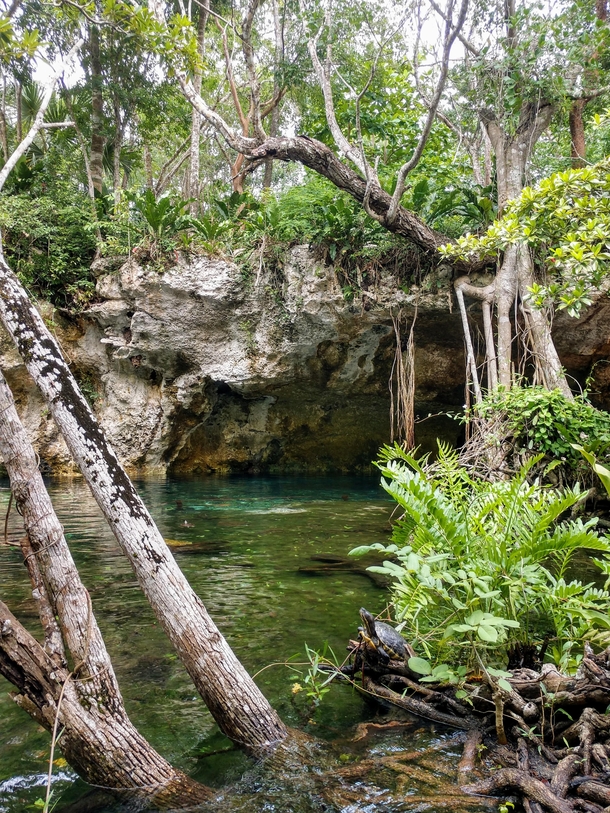 Gran Cenote Tulum Mexico 