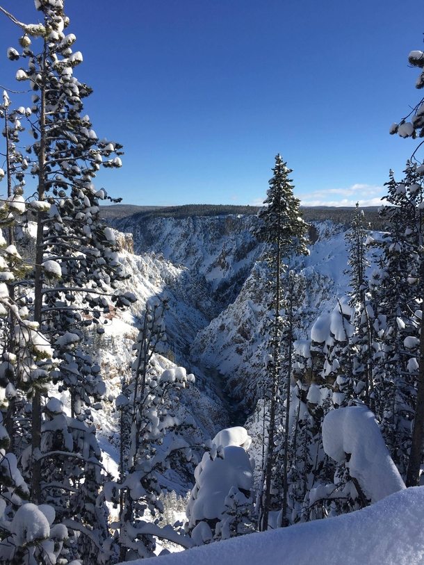 Grand Canyon of Yellowstone in Winter 