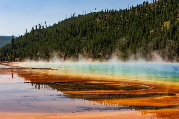 Grand Prismatic Spring Yellowstone National Park this past summer  x