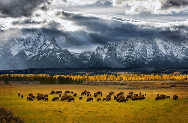 Grand Teton National Park  - Glen Hush for Natl Geographic Contest