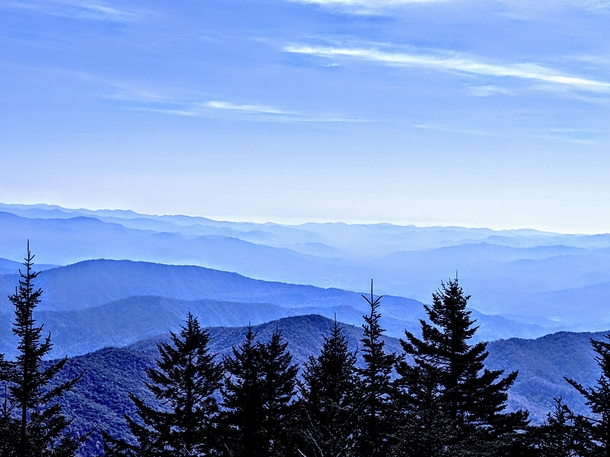 Great Smoky Mountains National Park TN USA  x