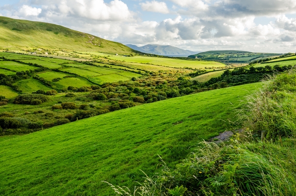 Green countryside on the Emerald Isle - Dingle Peninsula Ireland 