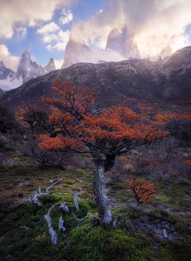 Guardian - Patagonia - 