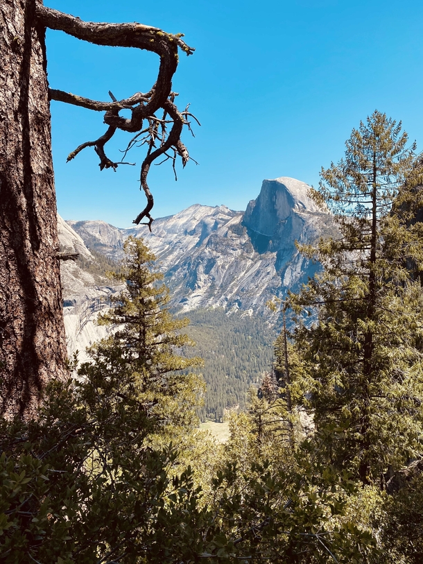 Half Dome from the Four Mile Trail Yosemite 
