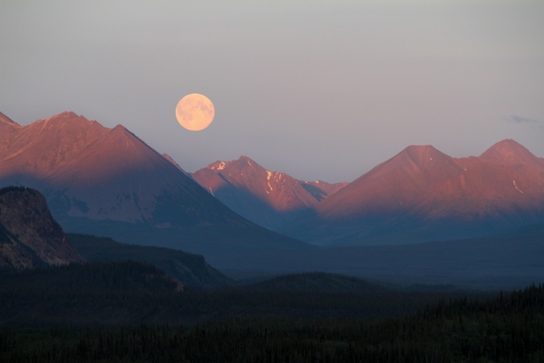 Happy Alaska Day Super Moon in Denali NP Alaska  