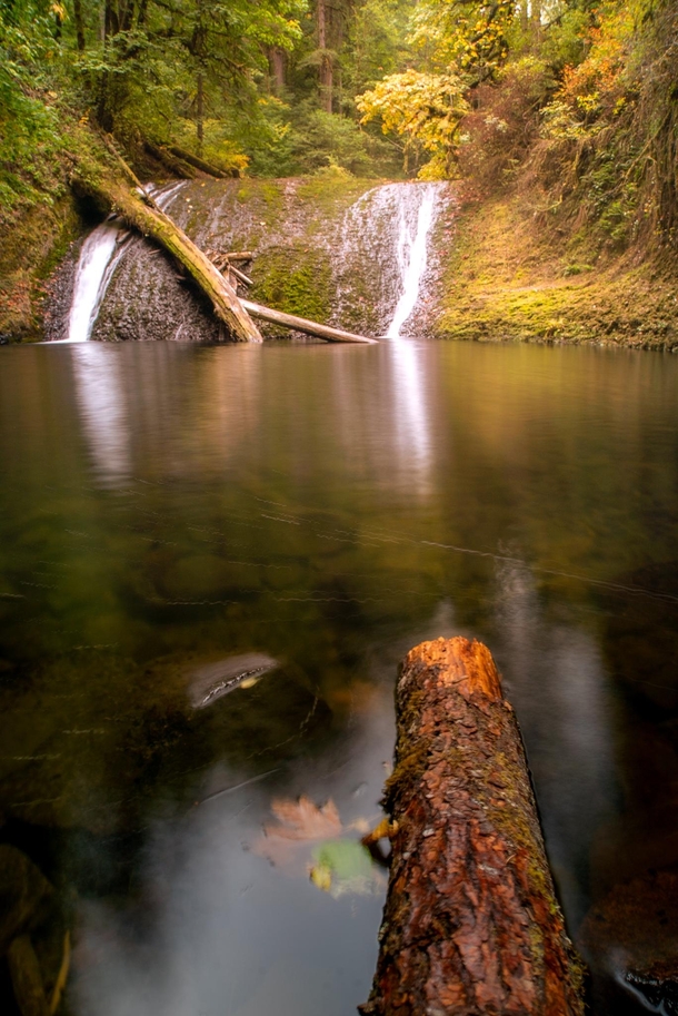 Hardly any water yet beautiful Twin Falls Silver Falls State Park Salem Oregon shot last year  - trip_with_hari