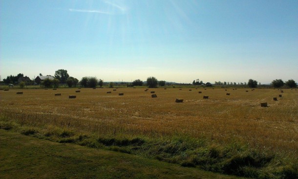 Hay bales and horses in the background OC taken from my yard 