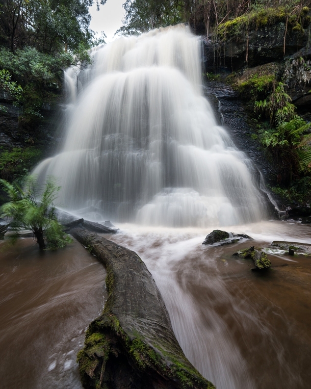 Henderson Falls flowing Lorne 