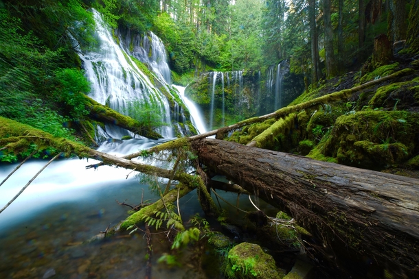 Hidden gem in southern Washington - Panther Creek Falls 