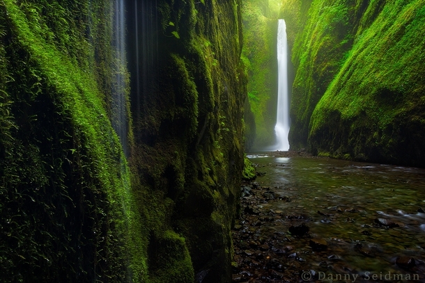 Hidden Waterfall - Oneonta Gorge Oregon  photo by Danny Seidman