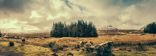 Highlands Scotland 