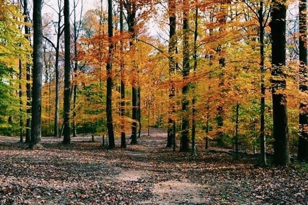Hiking in Northern Virginia Last Fall 