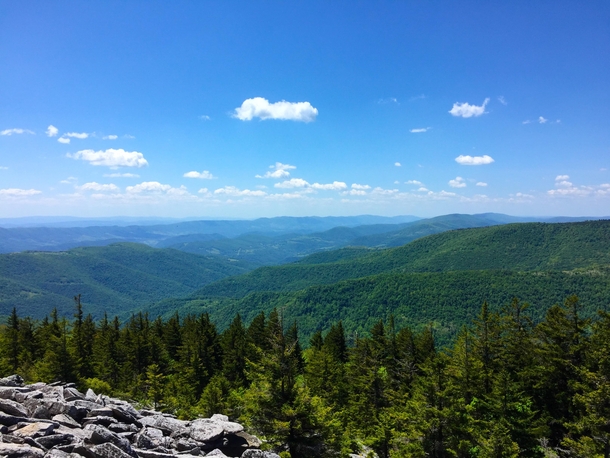 Hiking the Roaring Plains at Dolly Sods Park WV 
