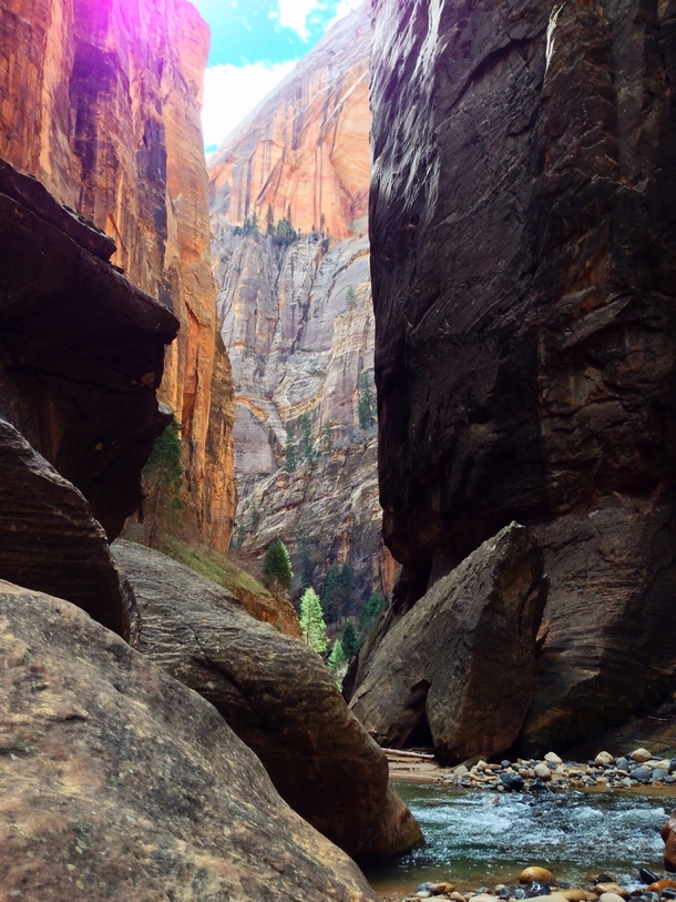 Hiking through The Narrows in Zion National Park Utah 