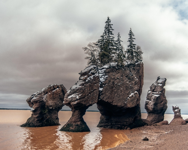 Hopewell Rocks in Bay of Fundy NB CA during the largest tidal move in the world around mileskm 