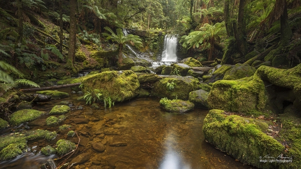 Horseshoe Falls and the enchanted forest of the Mt Field National Park in Tasmania Australia 