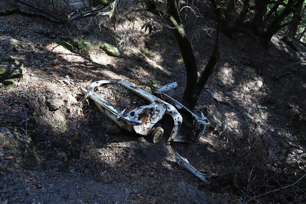 How did an Austin-Healey  get abandoned in Big Basin Redwoods State Park 