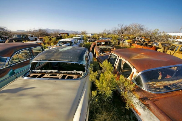 Huachuca City AZ Where Classic Cars go to Die 