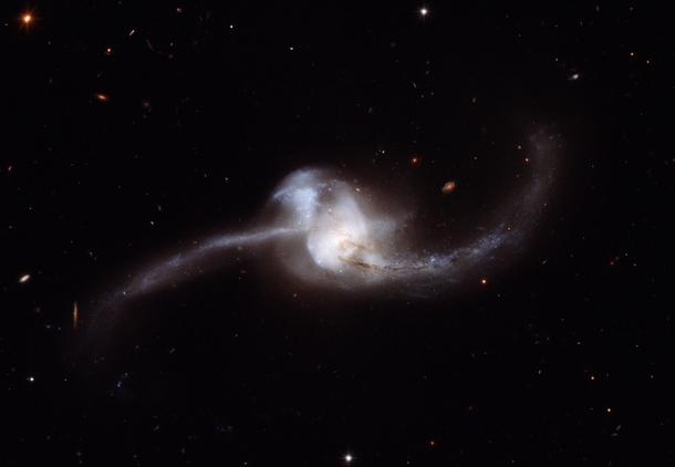 Hubble views results of NGC  merger 
