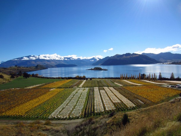 I dont know about this  karma thing but here is a photo my fiance took of Lake Wanaka from Gamay Winery in NZ 