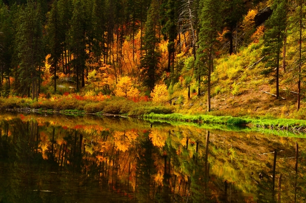 I love fall for its beautiful colors but hate that it means the end of summer and the start of cold gray winter Yuck Taken outside Leavenworth WA last October 
