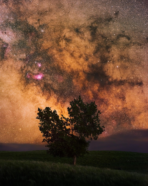 I photographed the milky way behind this tree using a telephoto lens and star tracker at mm in Grasslands National Park Canada 