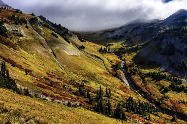 I still cant believe this is real place Goat Rocks Wilderness WA on the Pacific Crest Trail 