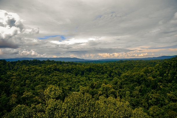 I took this photo in  on the top of the canopy walk over the rainforest in Temburong District  Daerah Temburong  Brunei It was an experience of a lifetime to say the least 
